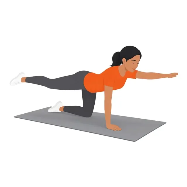 Illustration of a woman doing a bird dog